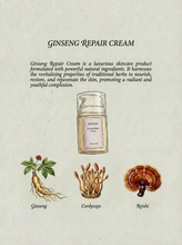 Load image into Gallery viewer, Ginseng Repair Cream 有機人蔘滋潤修復面霜