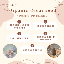 Load image into Gallery viewer, Balancing Hair Cleanser 氨基酸養髮洗髮乳